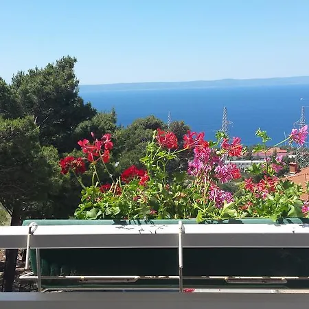 Cepo Apartament *