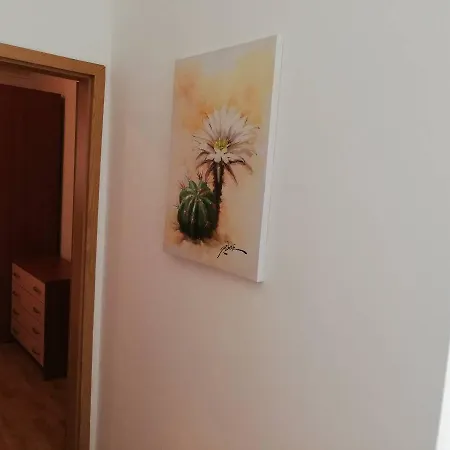 Cepo Lejlighed Makarska