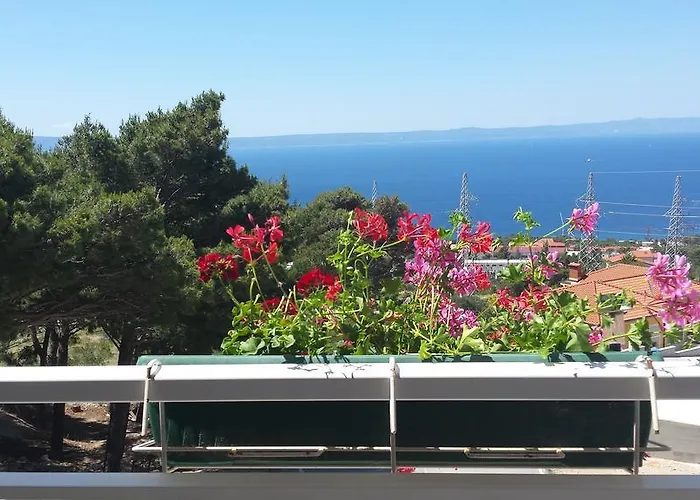 Cepo Апартаменты *